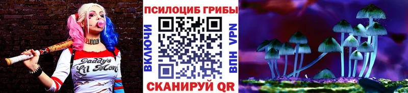 Галлюциногенные грибы Magic Shrooms  Советск 